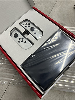 第二次入手 switch 