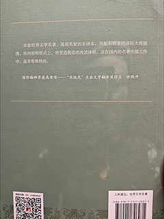 三个火枪手的传奇冒险！