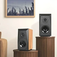 HiFi音响 篇四：玩音响，新烧看参数，老烧讲“玄学”？