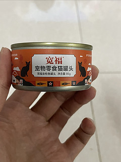 猫猫还是不吃罐头