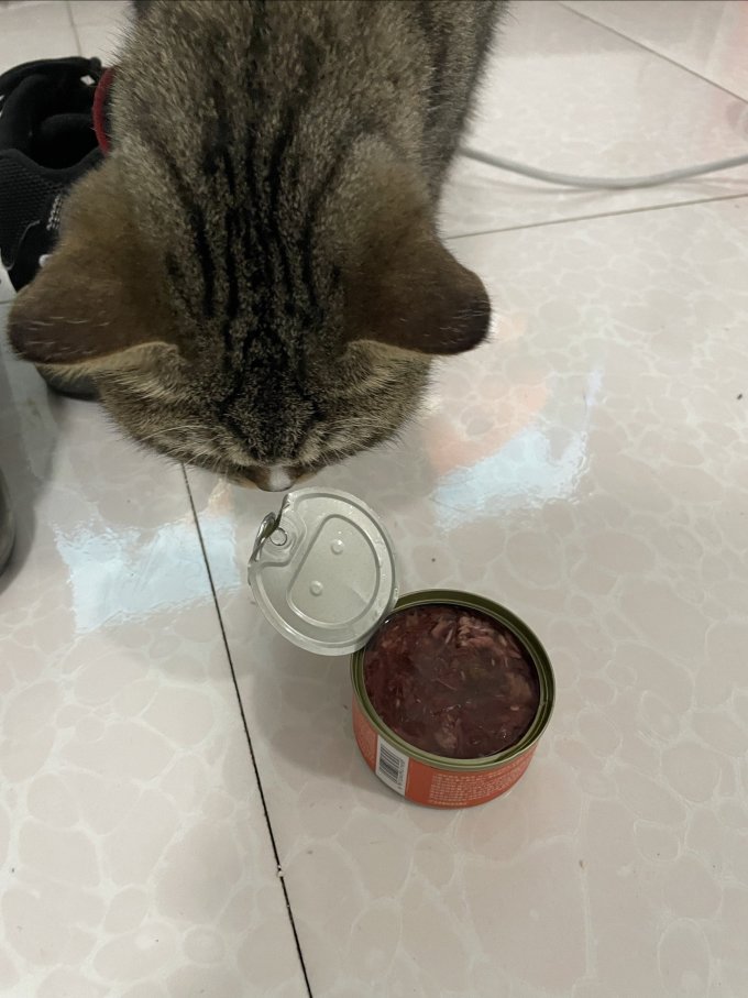 宽福猫咪零食罐/妙鲜包