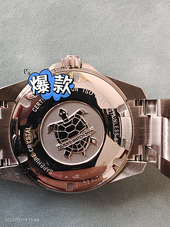 雪铁纳小海龟机械手表