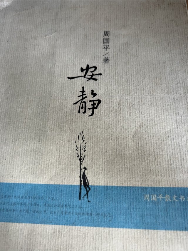 现在可以在帐篷里看一本周国平《安静》这本书