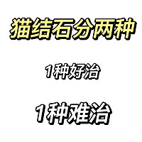 尿闭猫咪膀胱结石来看👀猫结石怎么处理✔