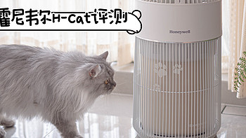 猫毛净化两手抓！霍尼韦尔H-Cat猫用空气净化器实测丨养猫家庭必备的吸浮毛、除过敏原、空气消杀利器