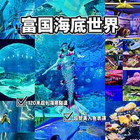 北京富国海底世界畅游攻略，120米海底隧道