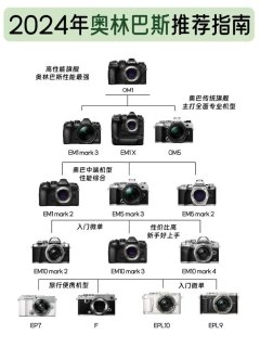 2024年奥林巴斯推荐指南