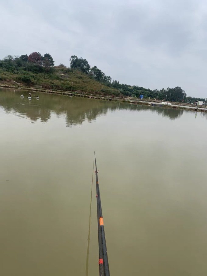 佳钓尼鱼竿