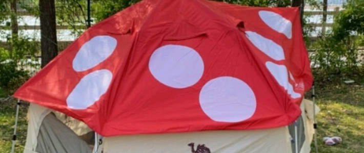 超级可爱的蘑菇帐篷。