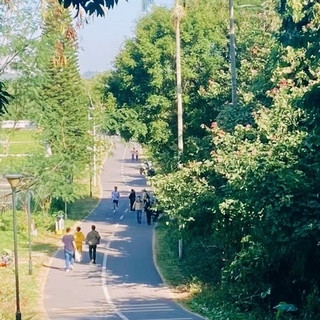 深圳周末好去处，东湖公园