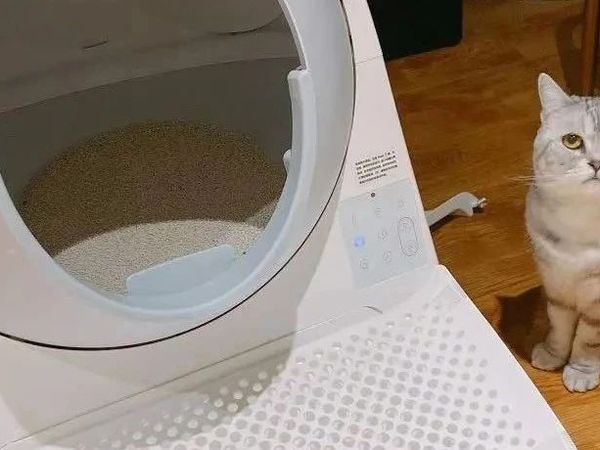 久等了，你们要的自动猫砂盆评测横空出“屎”了！