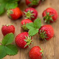 草莓挑选有妙招，轻松享甜蜜
