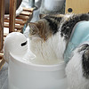 微客智品 篇三百七十九：让猫咪爱喝水，出门再无后顾之忧！Hiigge无线宠物智能饮水机体验
