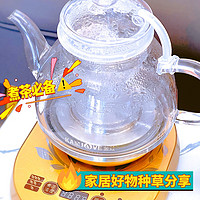 有了这款电热茶壶，全自动喝茶才是真享受！
