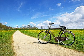 英伦复古单车🚲 