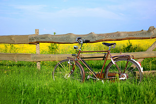 英伦复古单车🚲 