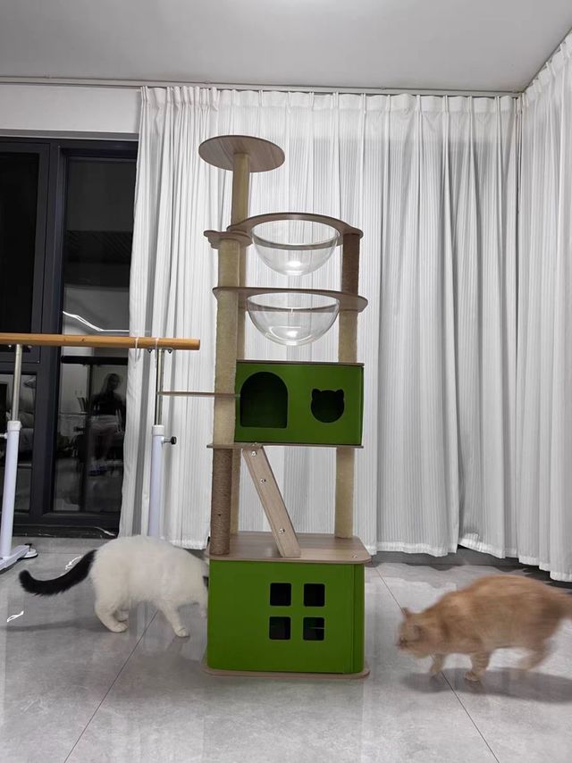 猫咪的乐园-猫爬架
