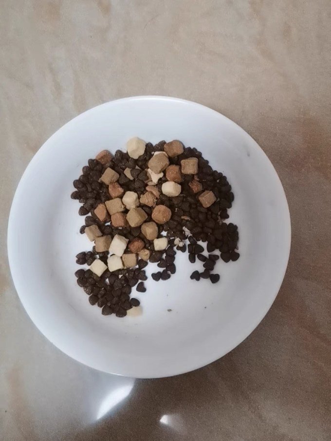 卫仕猫咪干粮