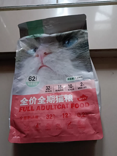 爱心食堂，流浪猫的福音在我们小区里，流浪猫是个让人心疼的问题