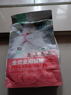 爱心食堂，流浪猫的福音在我们小区里，流浪猫是个让人心疼的问题