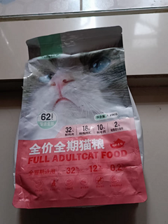 爱心食堂，流浪猫的福音在我们小区里，流浪猫是个让人心疼的问题