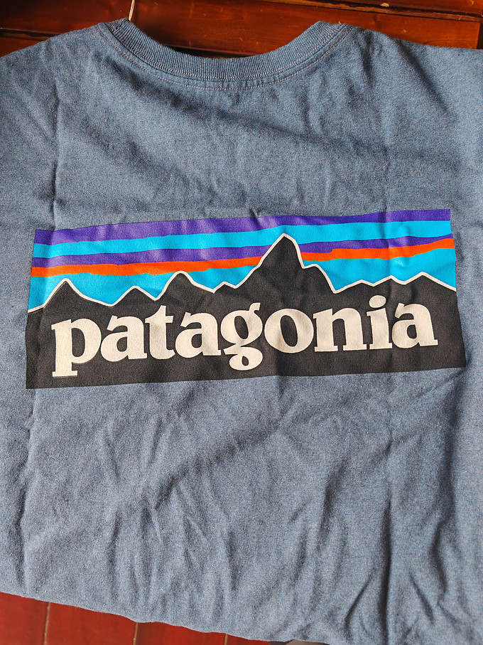 巴塔哥尼亚运动T恤