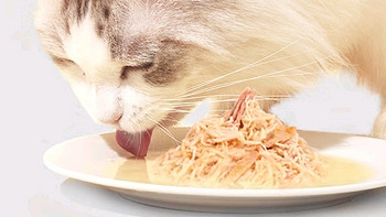分享一款麦富迪猫罐头，奶猫和老猫都能吃