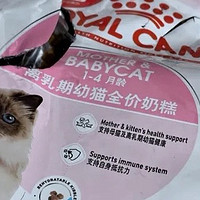 ￼￼皇家猫粮 幼猫猫粮 幼猫奶糕 K36 通用粮 4-12月 2KG￼￼