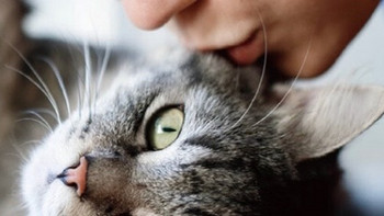 每月一次轻松撸猫，猫咪体内驱虫药分享。