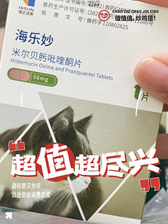 猫猫怀孕都可以使用的驱虫药分享。