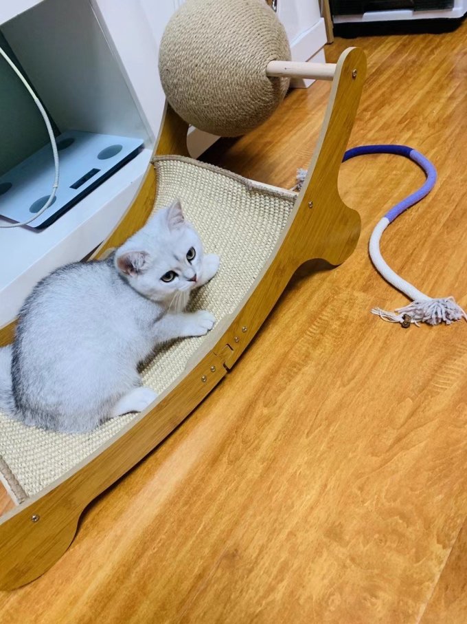 宠爱力猫爬架