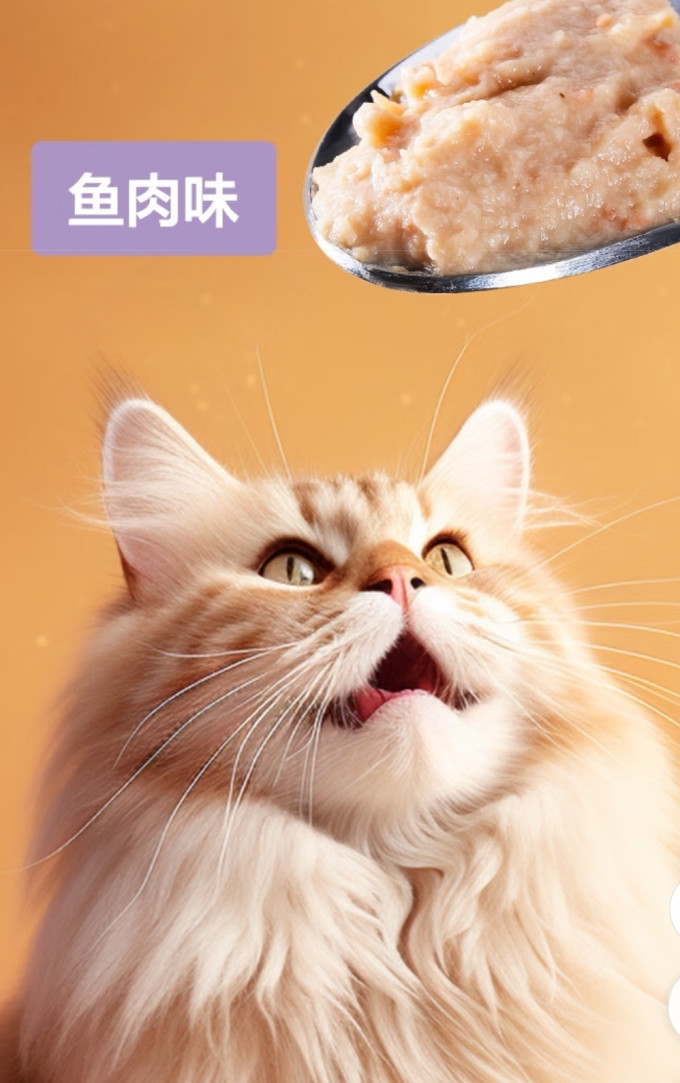 网易天成猫零食