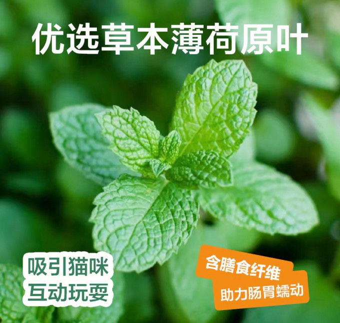 网易严选猫咪湿粮/罐头