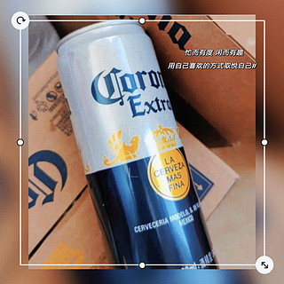 科罗娜（CORONA） 拉格啤酒