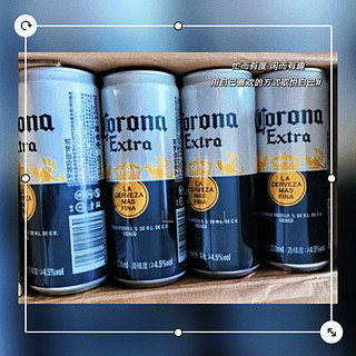 科罗娜（CORONA） 拉格啤酒