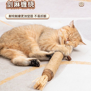 猫咪也需要磨牙棒