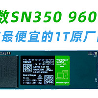 339元 最便宜的原厂固态 西数SN350 960GB