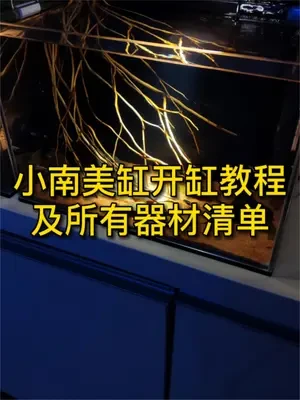 小南美缸造景教程，成本低又好看，所有的器材清单都在这 #南美缸  #开缸  #水族  #鱼缸造景 