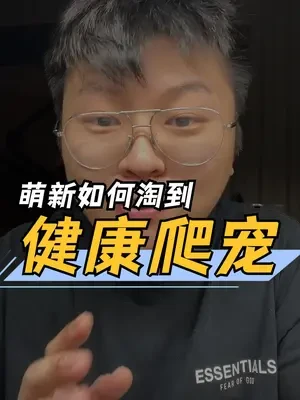 为了种族延续，ta们选择了“生生不息”