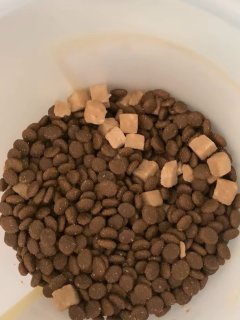麦富迪冻干双拼猫粮：营养与美味的完美结合