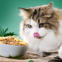 宠物专栏 篇八十：烘焙与冻干，猫咪的最爱！