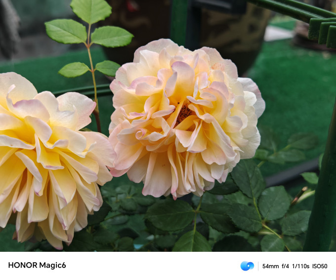 花点时间鲜花速递
