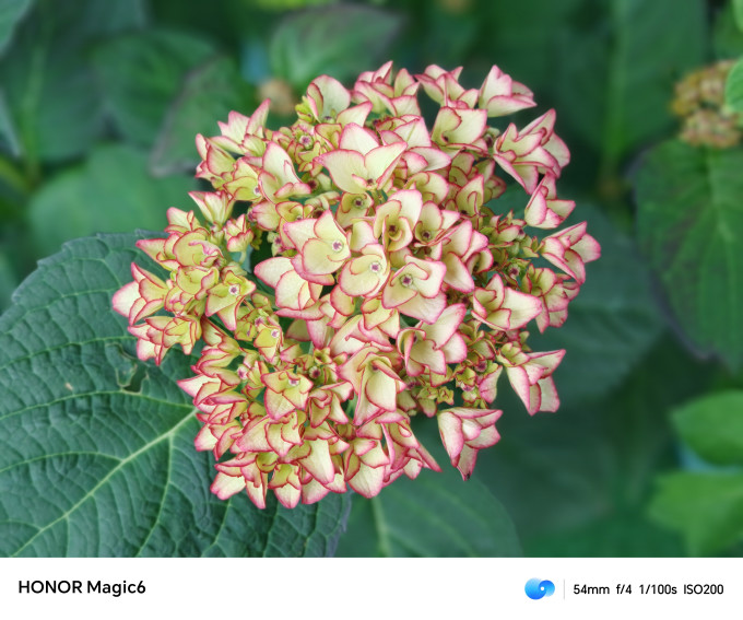 花点时间鲜花速递