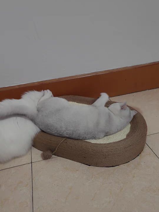 剑麻猫抓板猫窝耐磨不掉屑耐抓麻绳一体猫爪板大号磨爪器猫咪用品