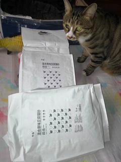 豆腐猫砂10斤装遮臭结团低尘混合猫沙包邮水蜜桃味非20斤可冲马桶