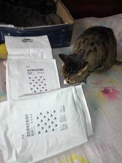 豆腐猫砂10斤装遮臭结团低尘混合猫沙包邮水蜜桃味非20斤可冲马桶