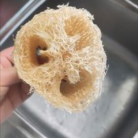 丝瓜全身都是宝啊