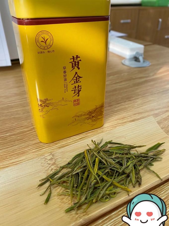柏叶韵茶类