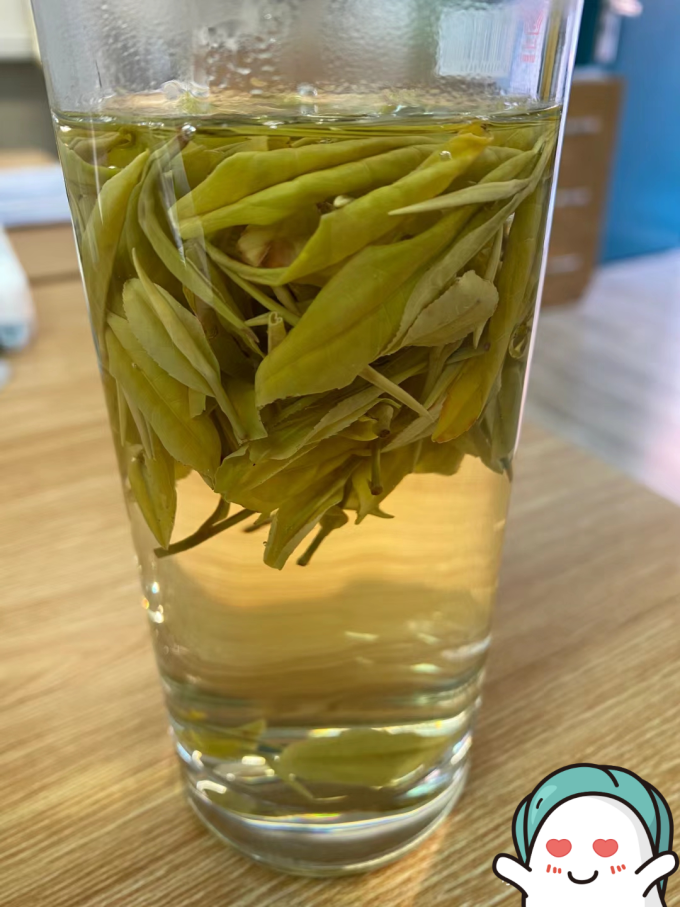 柏叶韵茶类