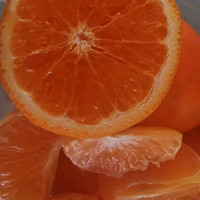 品味不同橘子种类，感受多样美味风情